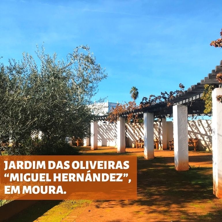Jardim das Oliveiras em Moura