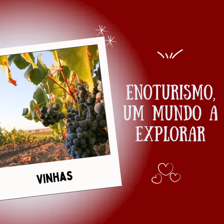Enoturismo