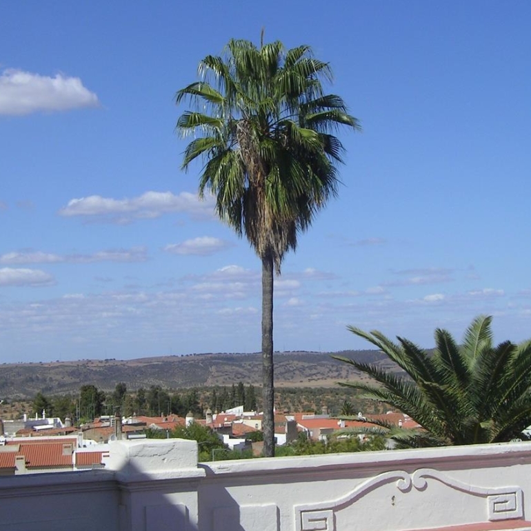 Detalhes Hotel de Moura