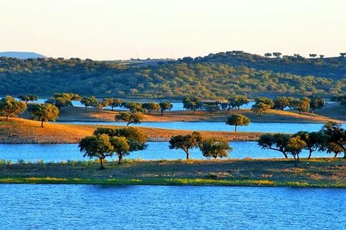 Passeio de Barco